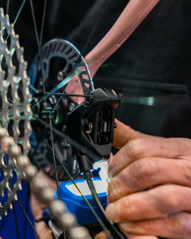 🚴‍♂️ Après les vacances votre vélo mérite son grand nettoyage !
La rentrée c’est le moment idéal pour repartir sur un vélo parfaitement réglé 👌
Freins, transmission, pneus, vitesses… un petit check maintenant peut éviter de grosses galères plus tard.
Chez Le Cycle Nantais, on bichonne votre vélo 🔧
Vélo de ville, VTC, électrique ou cargo, ou vélo de route : entretien, réparation et réglages rapides au cœur de Nantes.
📍 Passez nous voir en centre-ville de Nantes
☀️ Et profitez pleinement de la saison vélo !  #Nantes #Vélo #RéparationVélo #AtelierVélo #CyclingLife #LeCycleNantais